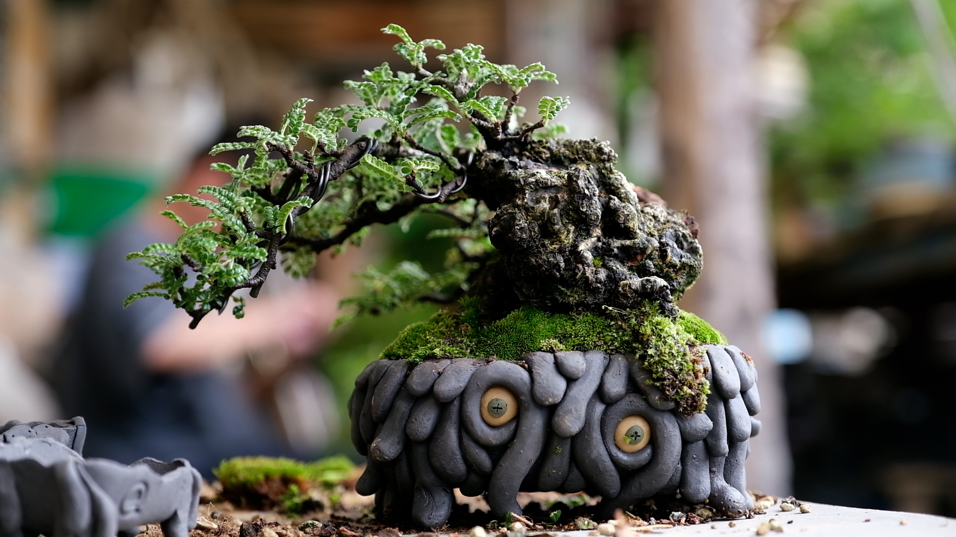 a mame bonsai pots by Bonsai Q