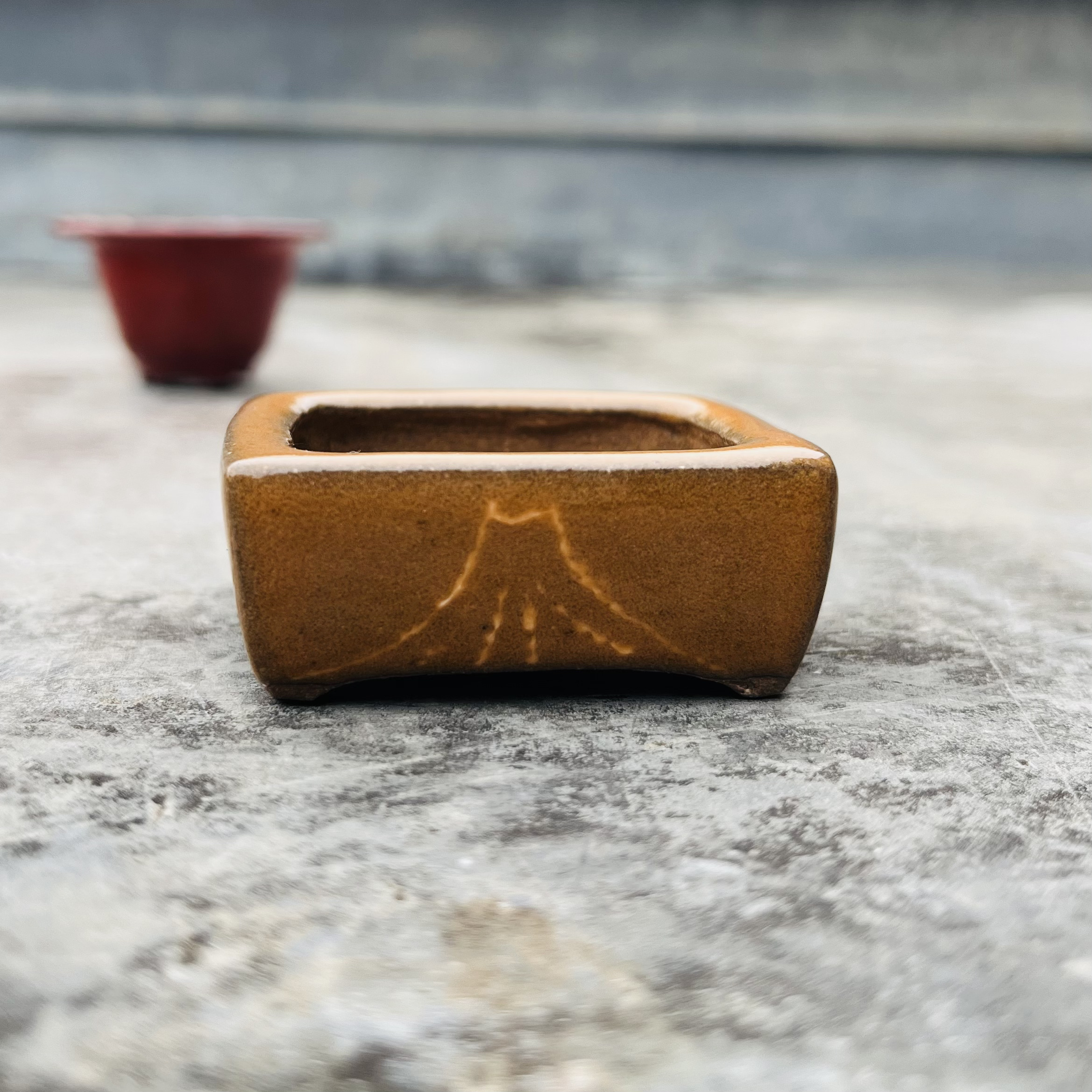 a mame bonsai pots by Shisui Hara appearing in Bonsai Q