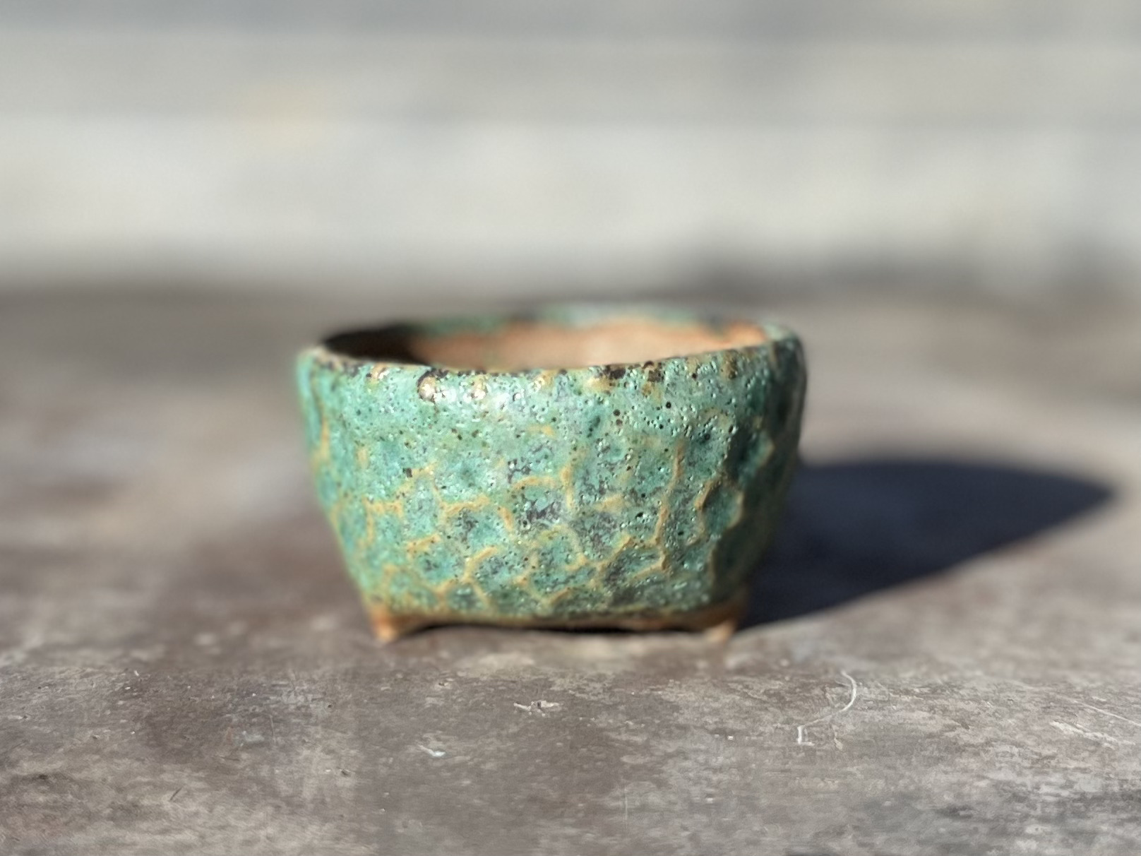 a mame bonsai pots by Taiga Saito appearing in Bonsai Q