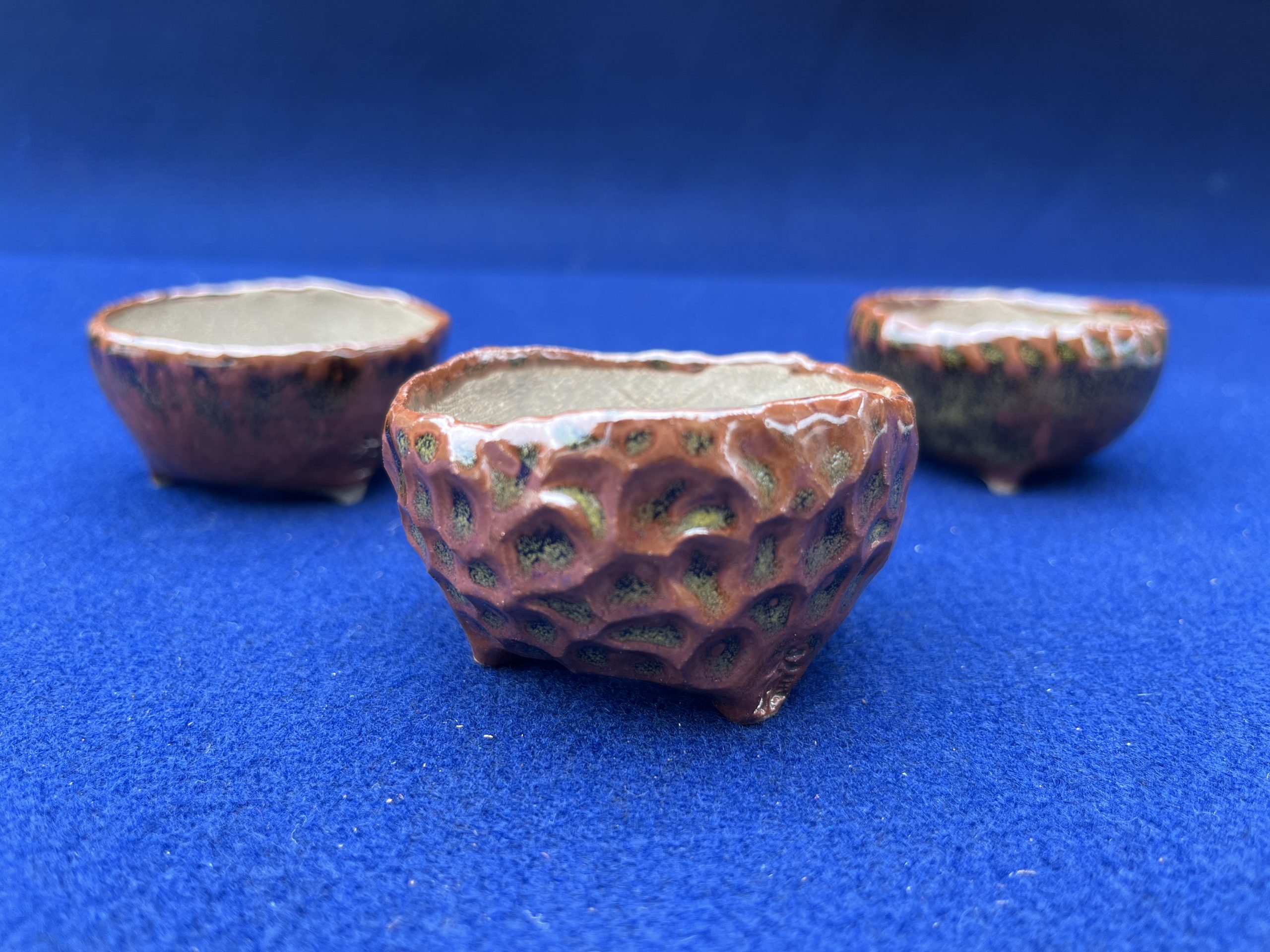 a mame bonsai pots by Taiga Saito appearing in Bonsai Q