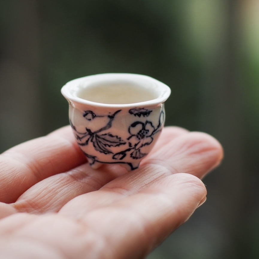 a mame bonsai pots by Taiga Saito appearing in Takushi Kenzo Tsuchiya