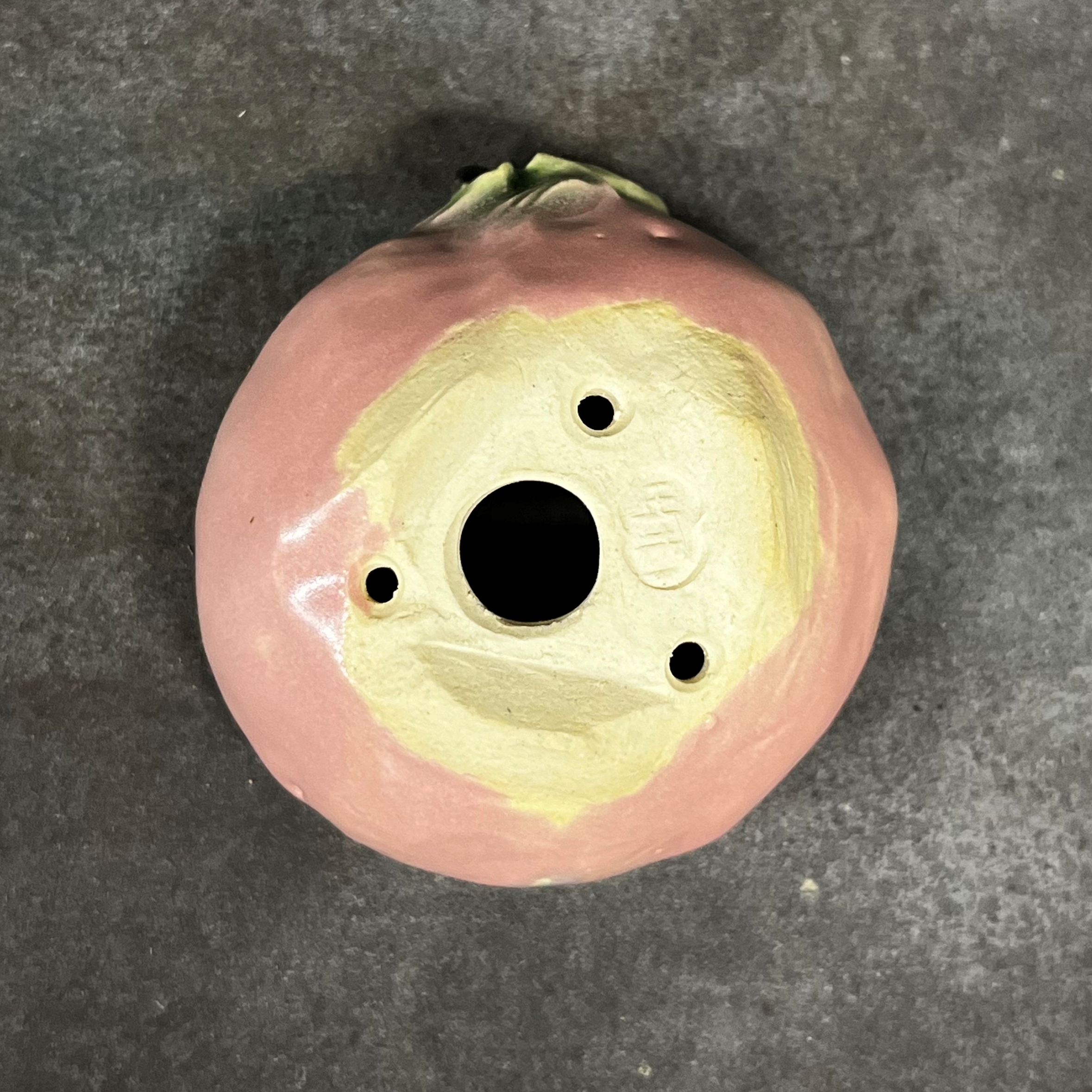 signature, Rakkan on the mame bonsai pot is by Masashi Furumoto in Japan