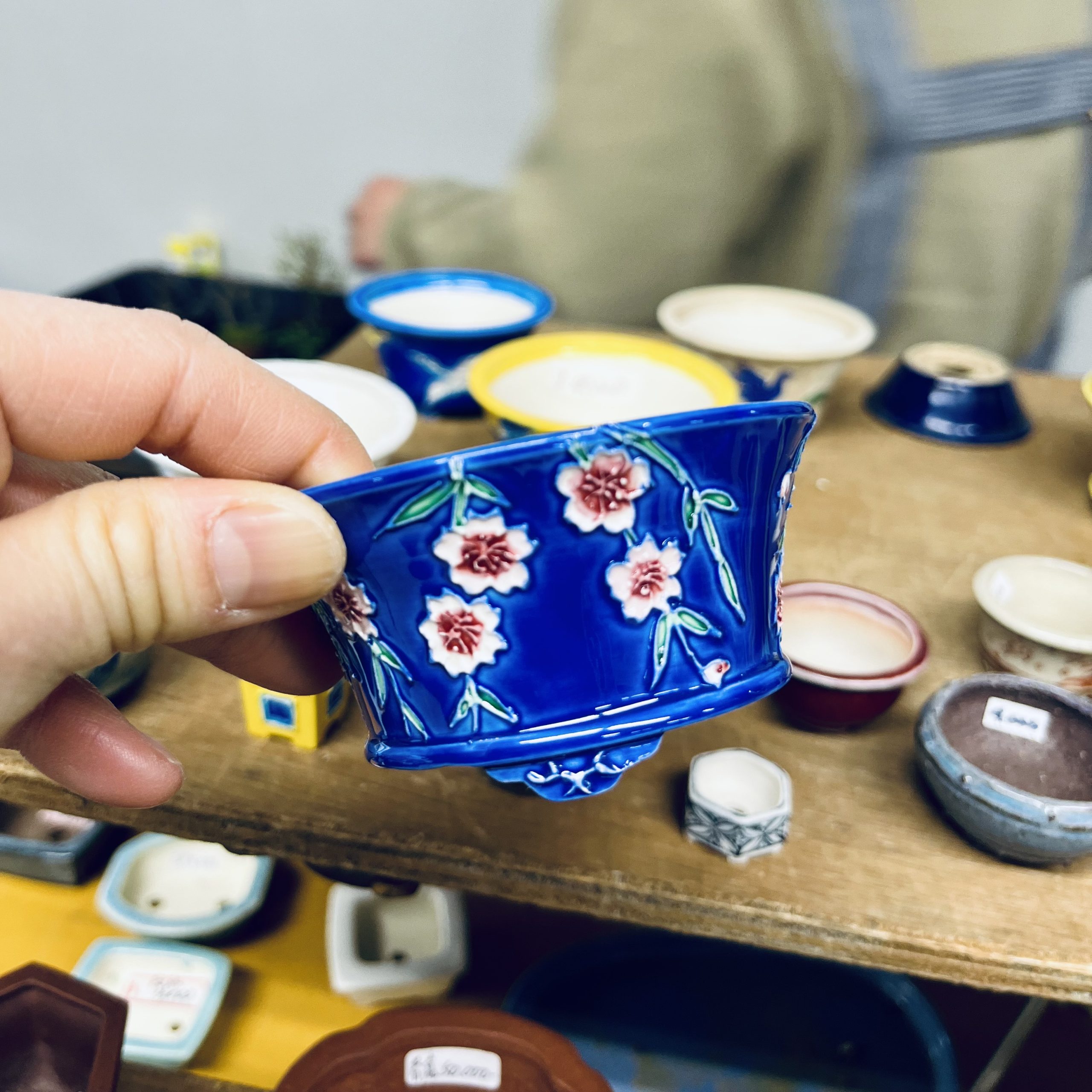 a mame bonsai pots by Touai