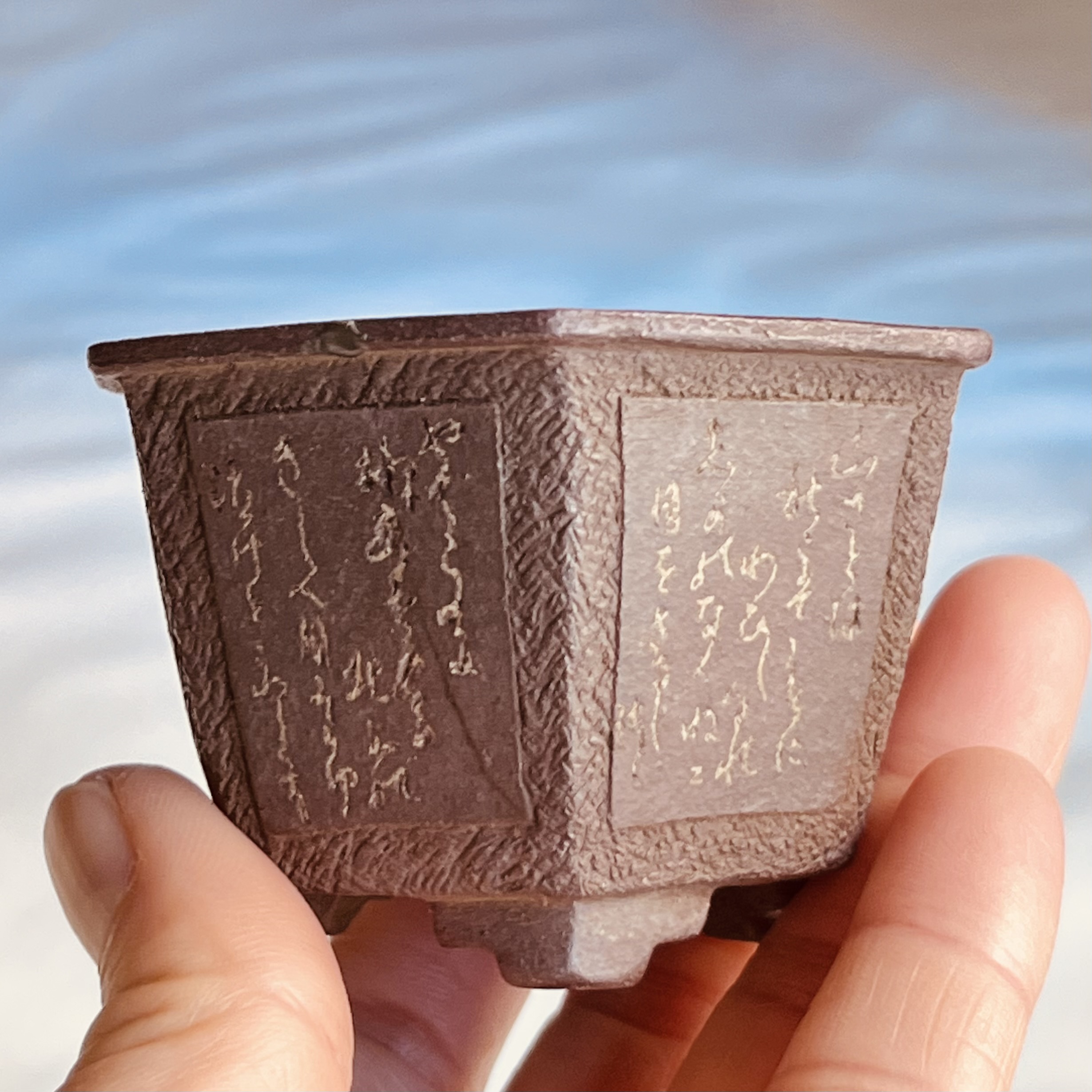 This is a mame bonsai pots by Aki Kishinami.